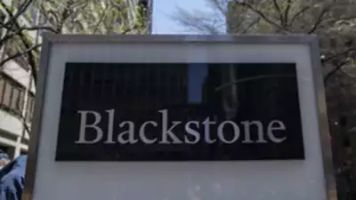 blackstone bengalurubased ai ml 250m timesindia